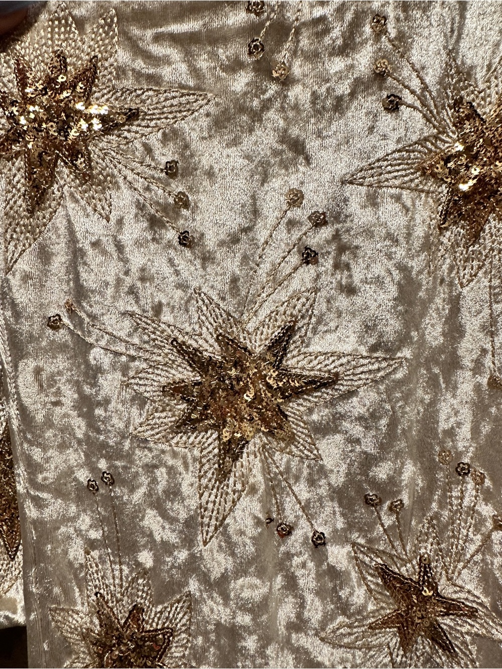 Lenni Crushed Velvet Embellished Two-Piece Set - Picture 5 of 5